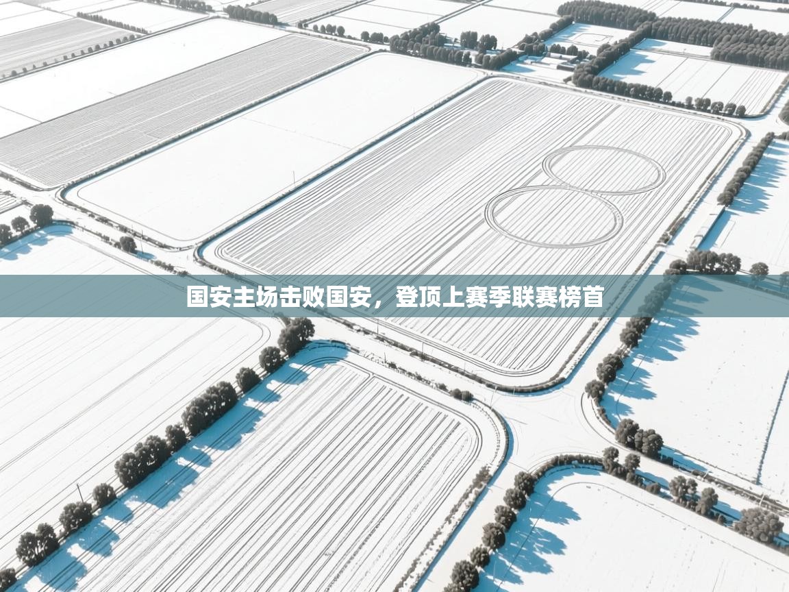 国安主场击败国安,登顶上赛季联赛榜首 第1张