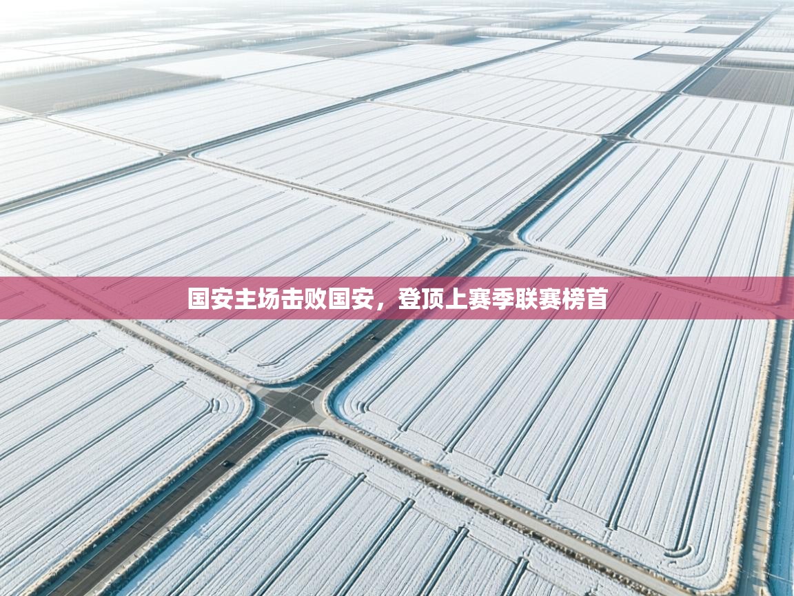 国安主场击败国安,登顶上赛季联赛榜首 第2张