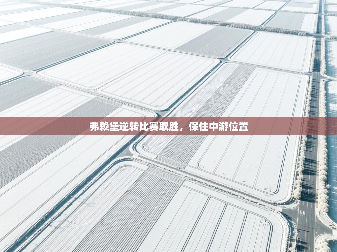 弗赖堡逆转比赛取胜，保住中游位置  第1张