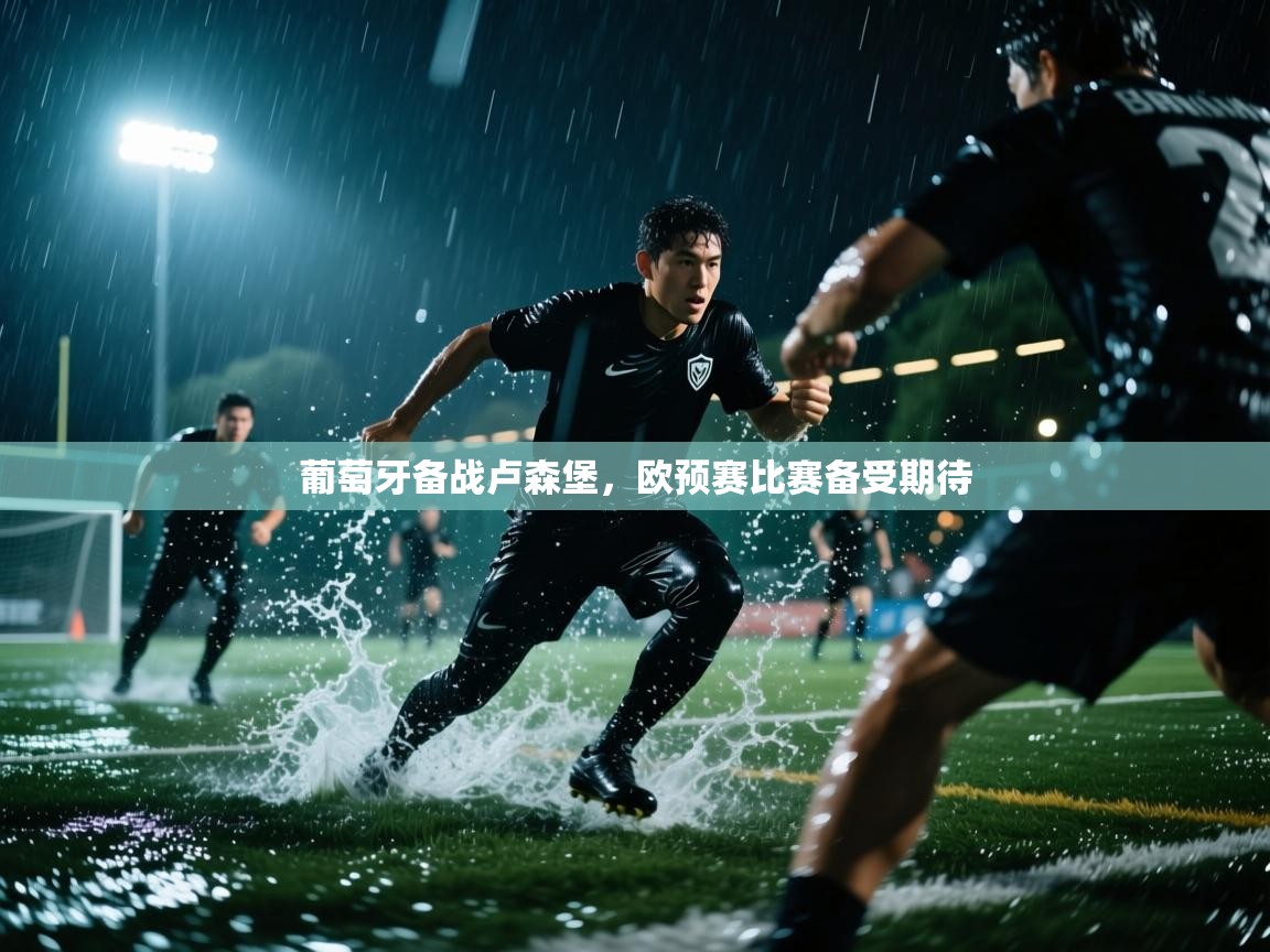 葡萄牙备战卢森堡，欧预赛比赛备受期待  第1张