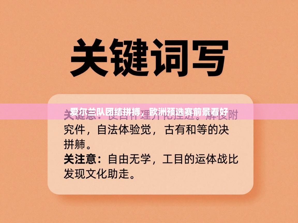 爱尔兰队团结拼搏，欧洲预选赛前景看好  第2张