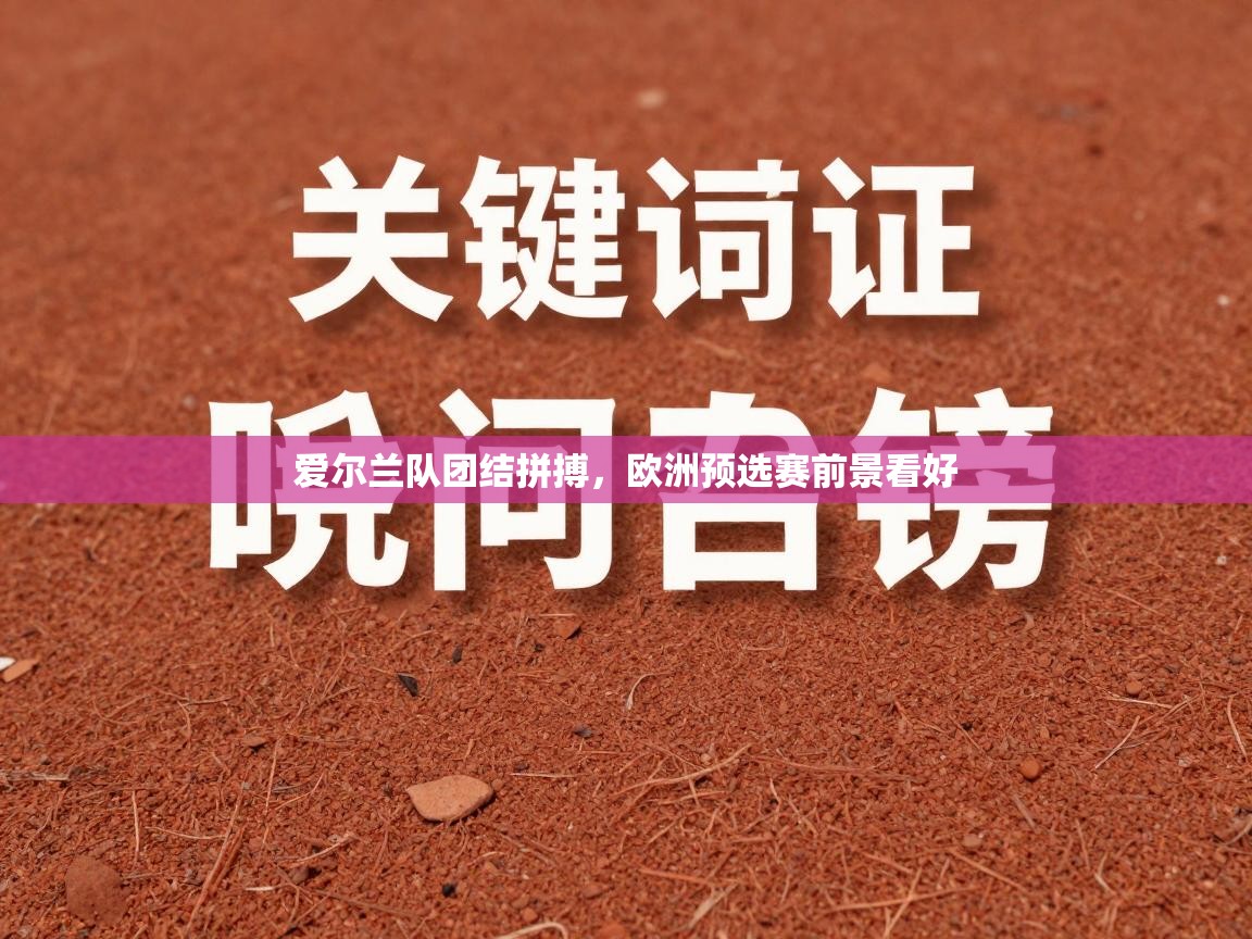 爱尔兰队团结拼搏，欧洲预选赛前景看好  第1张