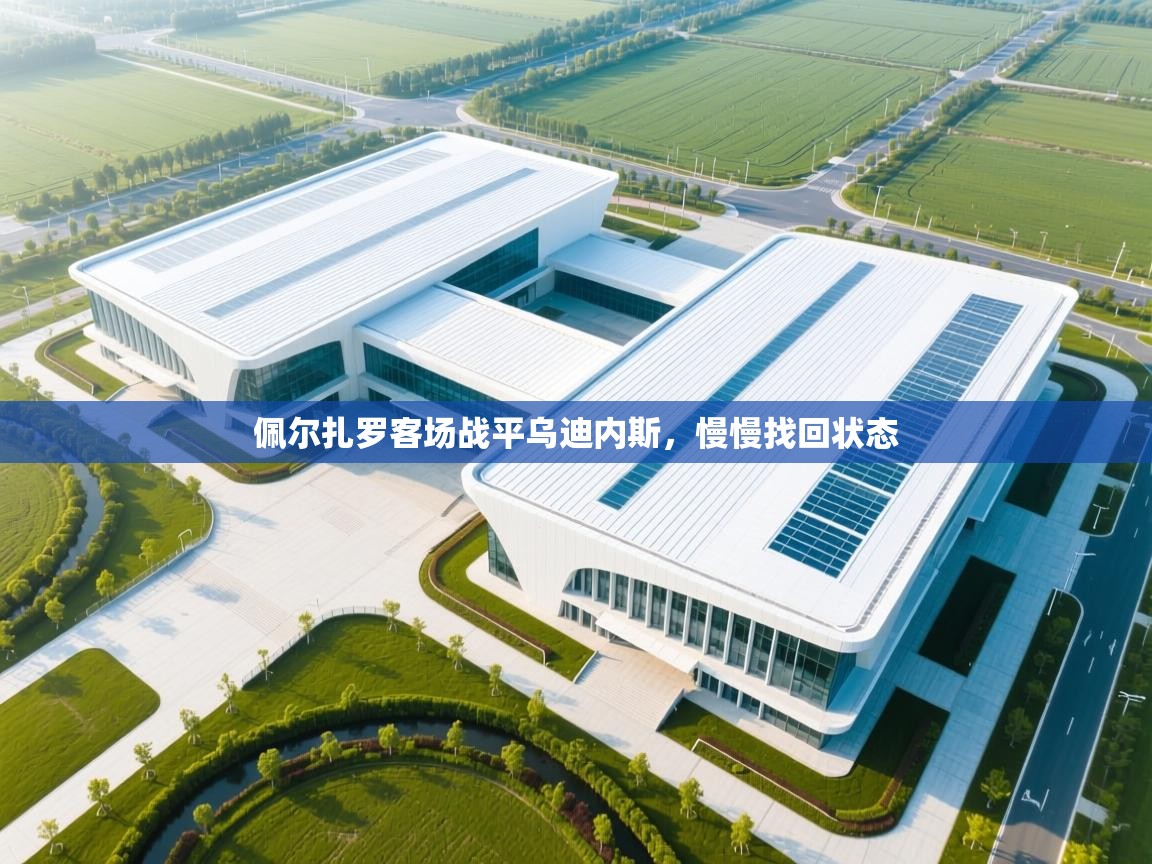 佩尔扎罗客场战平乌迪内斯,慢慢找回状态 第1张