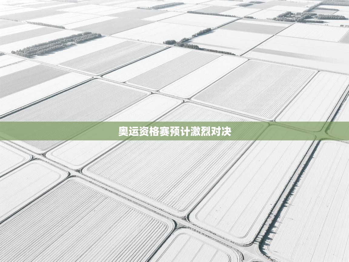 奥运资格赛预计激烈对决 第2张