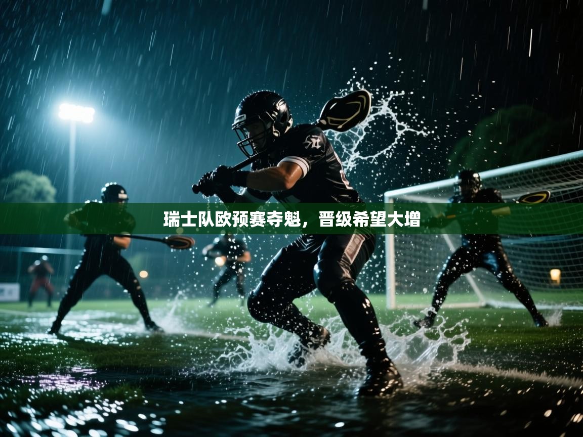 瑞士队欧预赛夺魁，晋级希望大增  第2张